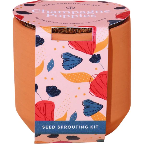 Tiny Terracotta Kit