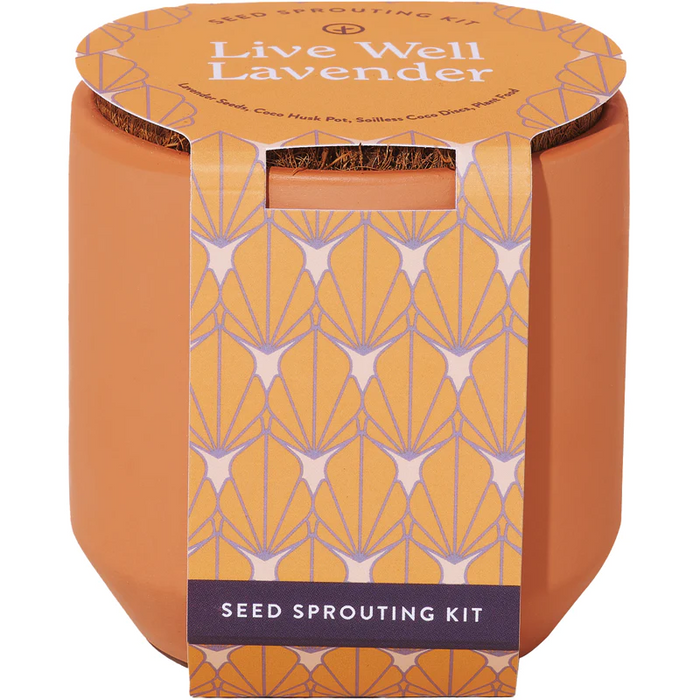Tiny Terracotta Kit