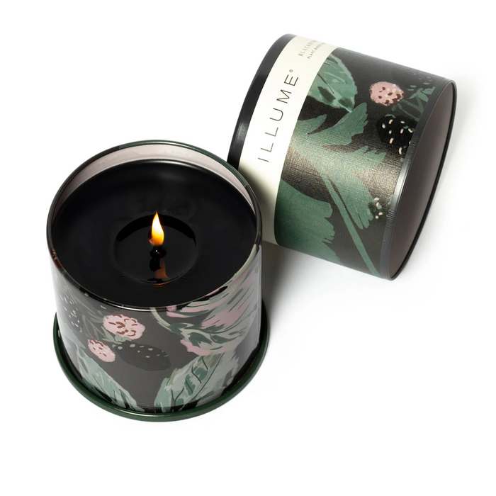 Blackberry Absinthe Large Tin Candle
