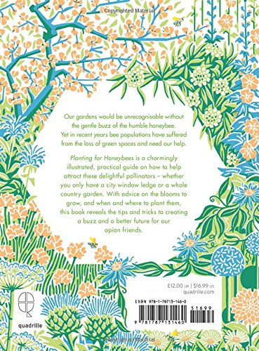 Planting For Honeybees