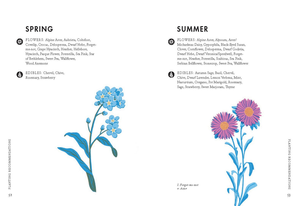 Planting For Honeybees