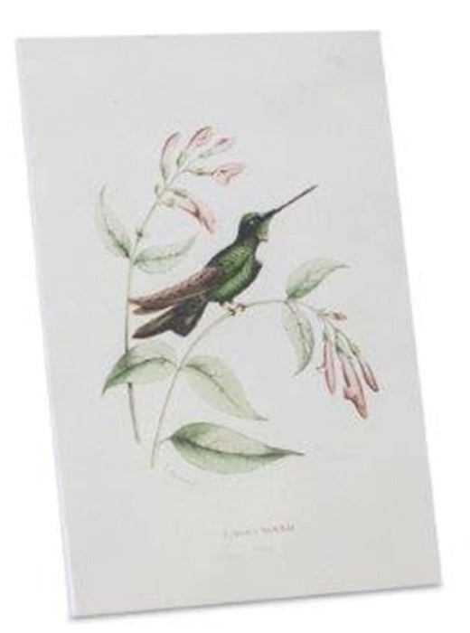 Hummingbird Print