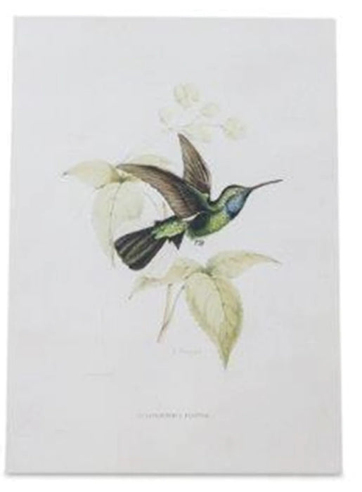 Hummingbird Print