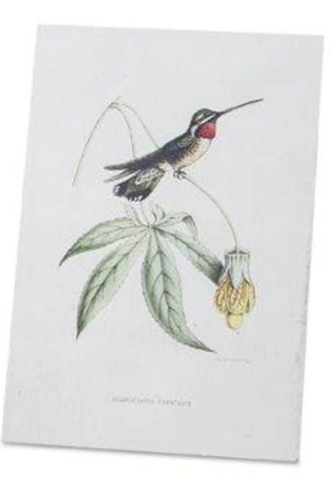 Hummingbird Print