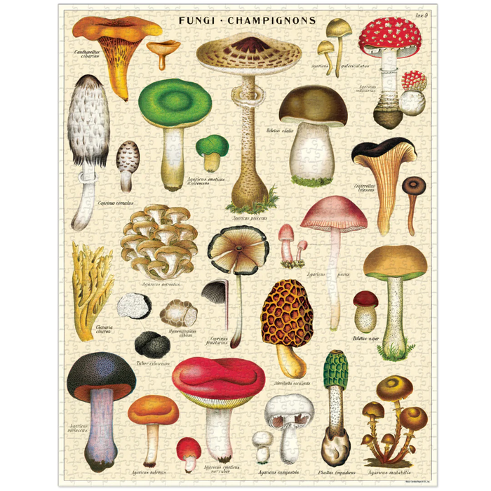 Vintage Mushroom Puzzle