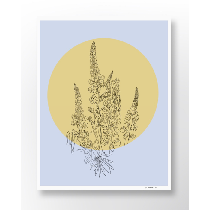Lupins Print by Local Artist