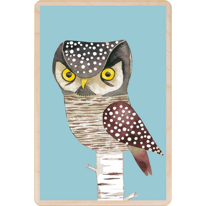 Hawk Owl Wooden Postcard