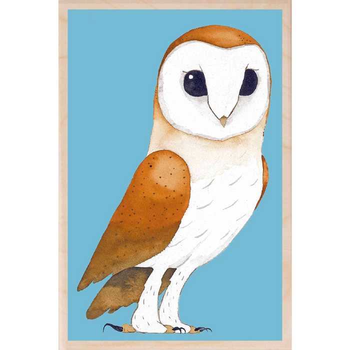 Barn Owl Wooden Postcard