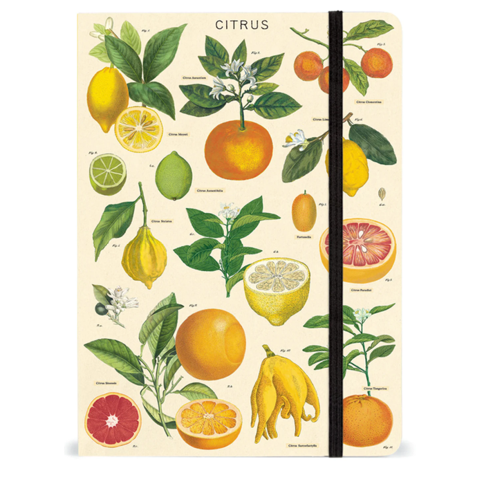 Citrus Large Notebook With Elastic Closure