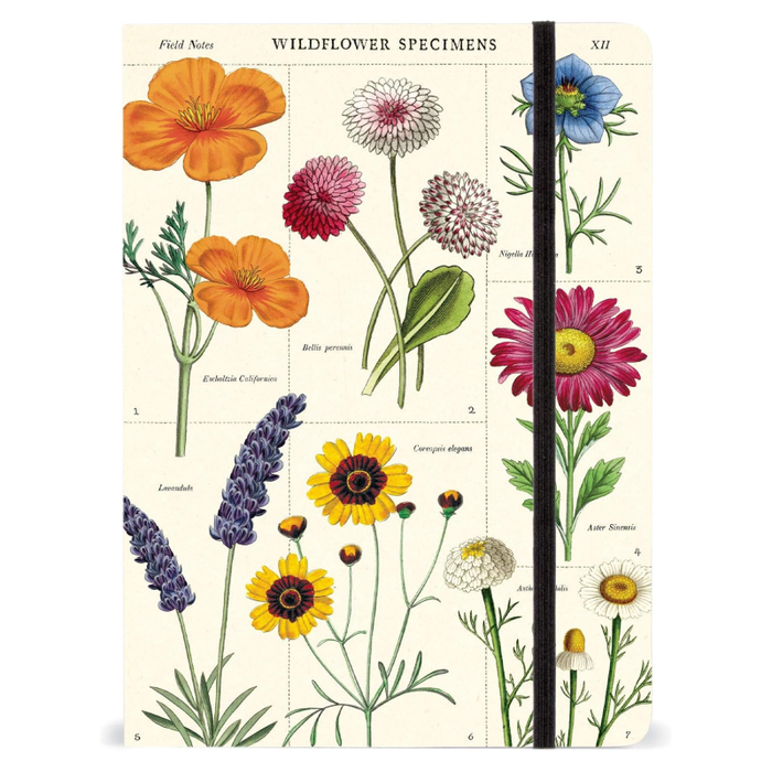 Wildflowers Large Notebook With Elastic Closure