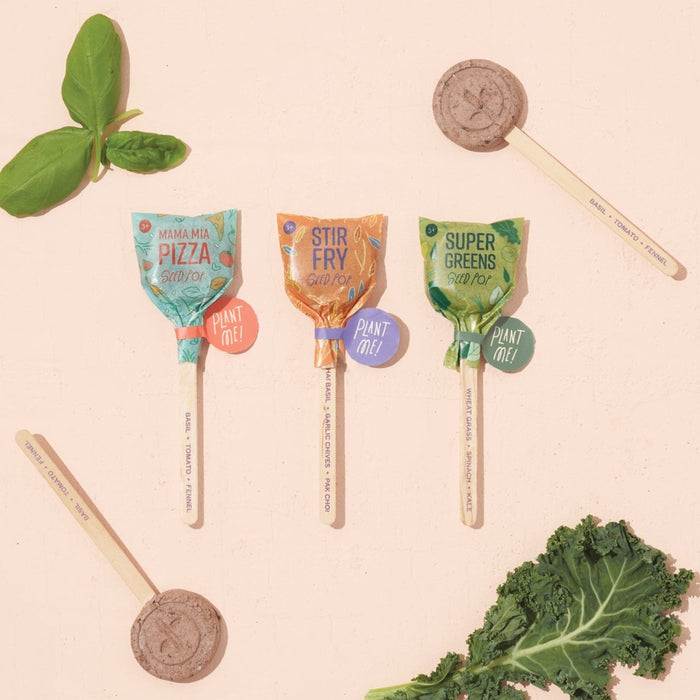 Seed Lollipop - Culinary