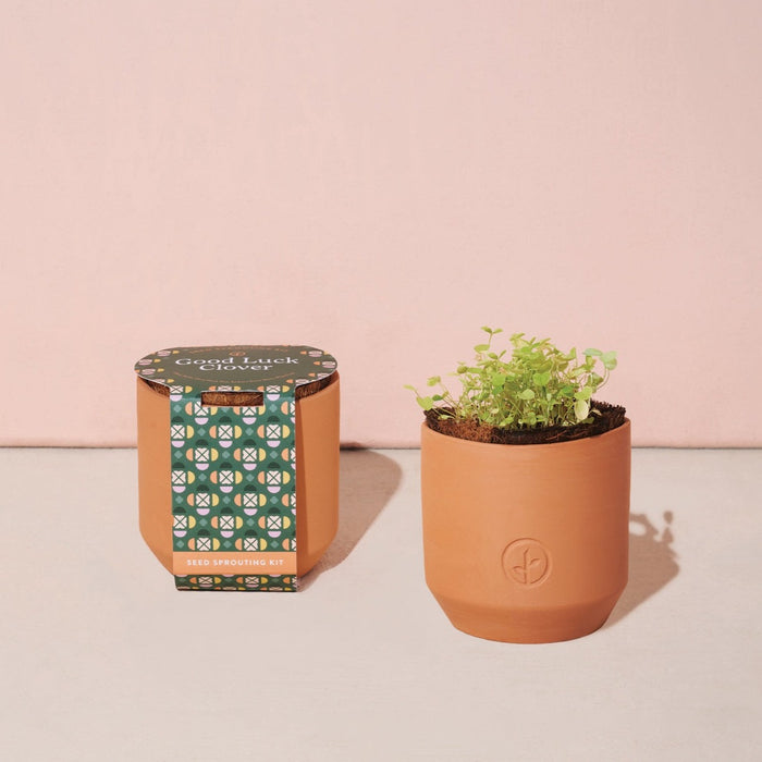 Tiny Terracotta Kit