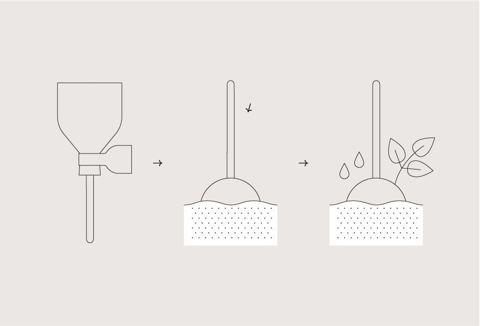 Seed Pops - Pollinator