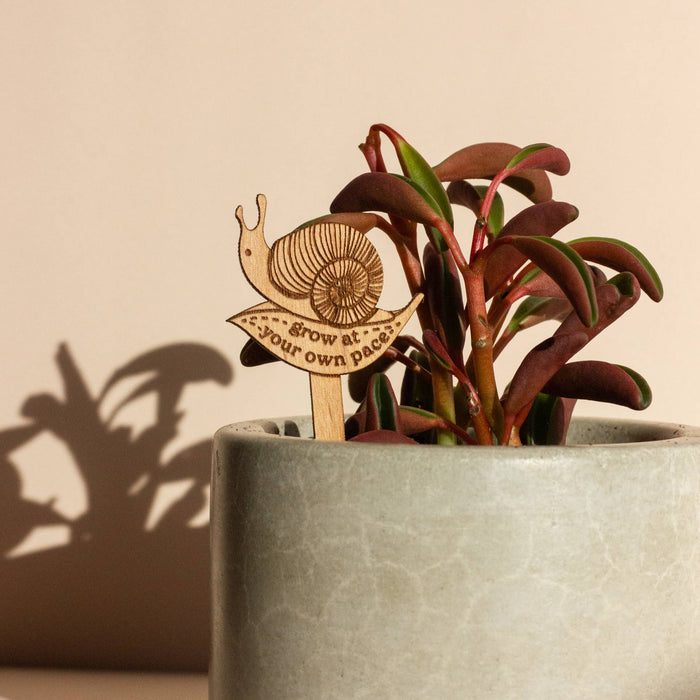 Grow at Your Own Pace Snail Wood Plant Pick