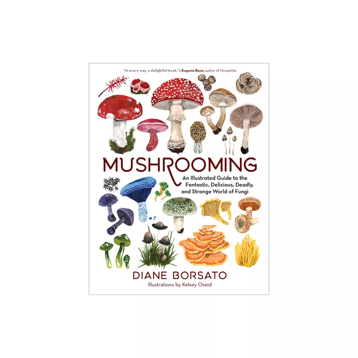 Mushrooming - by Diane Borsato (Hardcover)