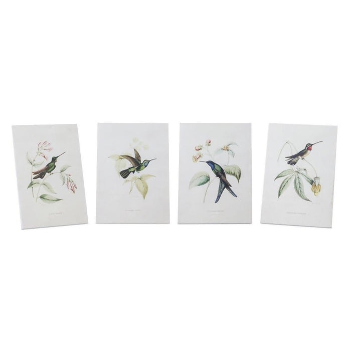 Hummingbird Print