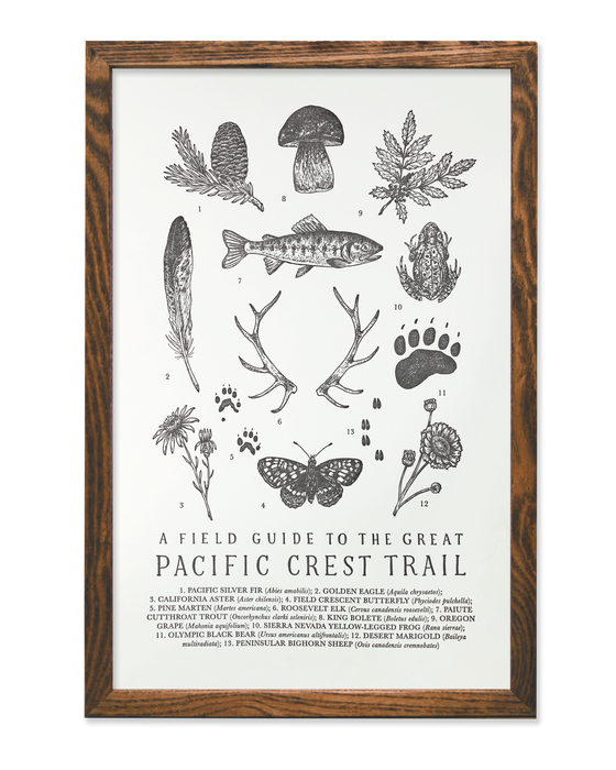 pacific crest trail guide