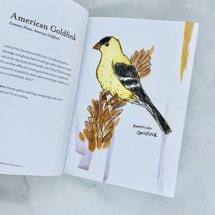 The Field Guide of Dumb Birds of North America