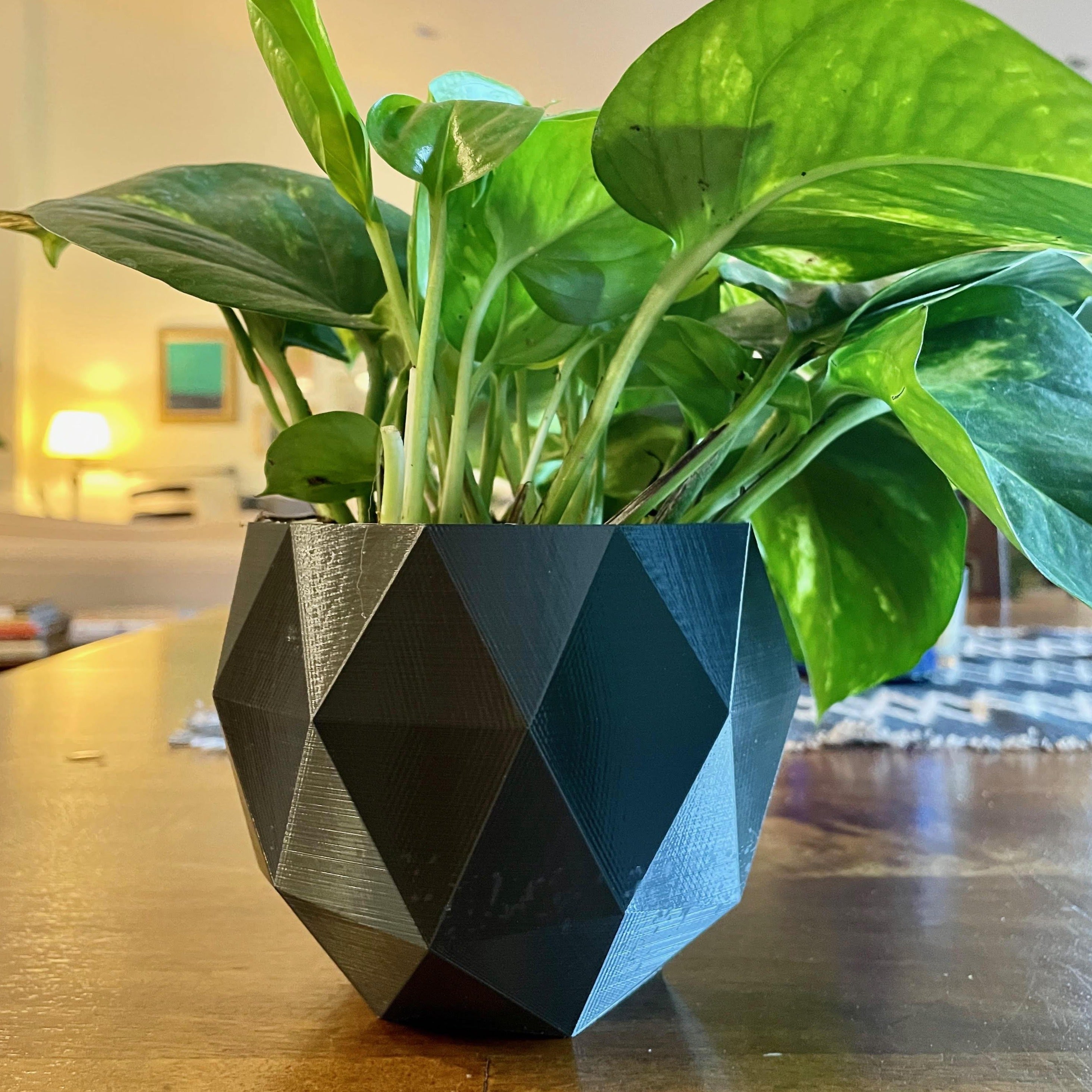 sphere plant pot Ico-sphere Planter – Pulp & Circumstance